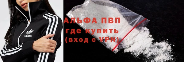 сатива Великий Новгород