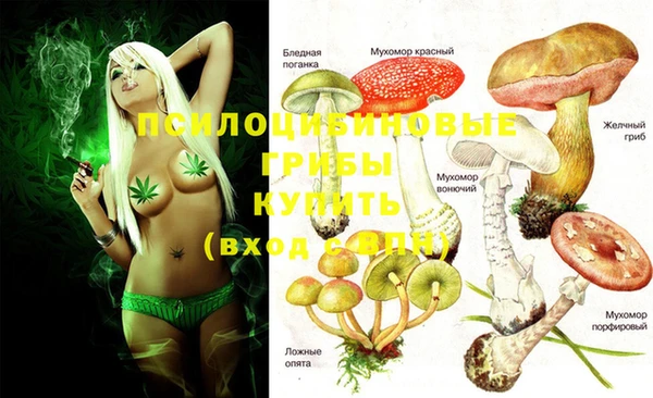 гидропоника Козловка