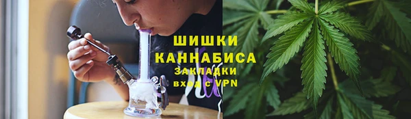 прущие крисы Козельск