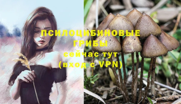 прущие крисы Козельск