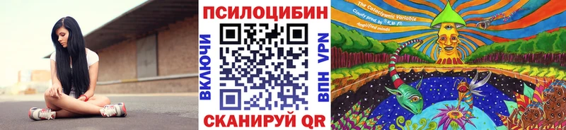 Купить  Жирновск  Псилоцибиновые грибы прущие грибы 